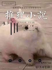 重生寫推理